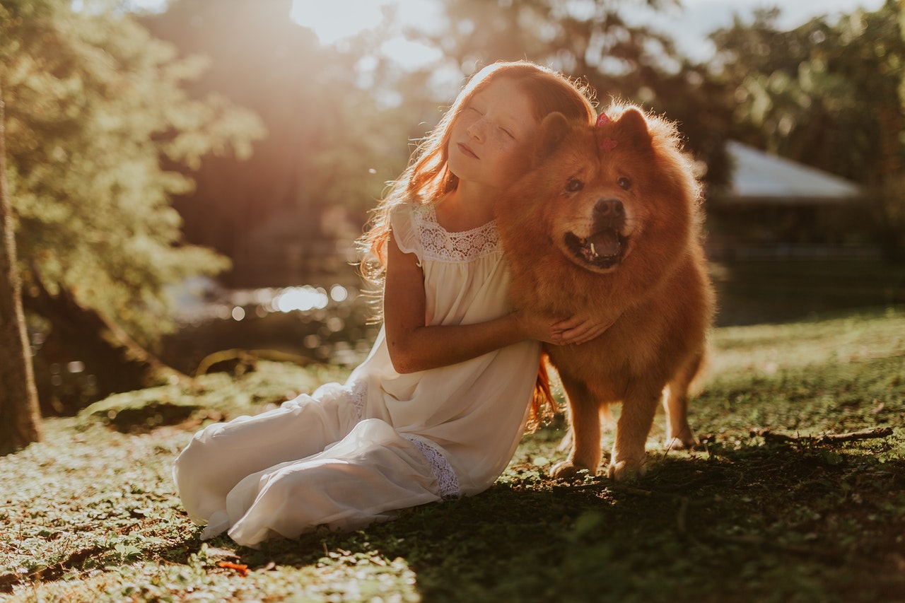 Cachorro e criança